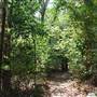 Quitman Arboretum