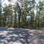 Tyler State Park