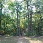 Tyler State Park