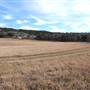 Longhorn River Ranch