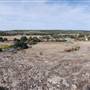 Longhorn River Ranch
