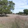 Longhorn River Ranch