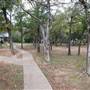 Lake Bastrop - South Shore Park