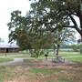 Lake Bastrop - North Shore Park