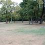 Cameron Park