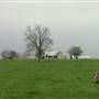 Maeshill Farm