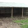 Maeshill Farm