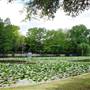 Lakeside Park