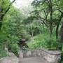 Davis Park