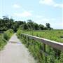 Seabrook Hike & Bike Trails