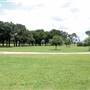 Cottonwood Terrace