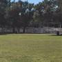 Pfluger Park