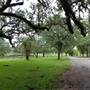 Le Tulle Park