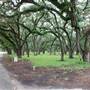 Le Tulle Park