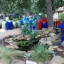Hill Country Water Gardens & Nursery