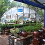Hill Country Water Gardens & Nursery