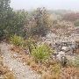 Guadalupe Mountains National Park - Smith Springs Trail