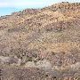 Davis Mountains State Park