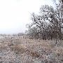 Mendota Ranch