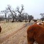 Mendota Ranch
