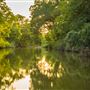 Duffau Creek