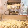 Hico Popcorn Works