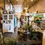 Sugar Moon Antiques
