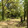 Historic Stagecoach Park