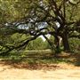 Historic Stagecoach Park