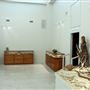 Bosque Museum