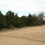 Hyatt Regency Lost Pines Resort & Spa - Wolfdancer Golf Club