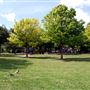 Mueller Lake Park