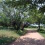 Mueller Lake Park