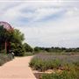 Mueller Lake Park