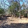 Buescher State Park