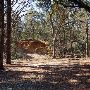 Buescher State Park