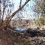 Buescher State Park