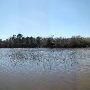 Buescher State Park