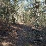 Buescher State Park
