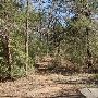Buescher State Park