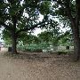 Auditorium Shores