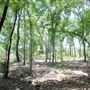 Judson Nature Trails