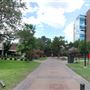 Incarnate Word College