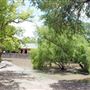 Brackenridge Park