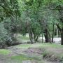 Pecan Creek Trail