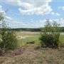 Baird Lake