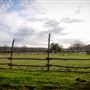 Montesino Ranch