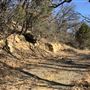 Texas Frontier Trails Western Heritage Park