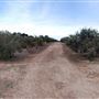 Texas Hill Country Olive Company