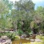 Chandor Gardens